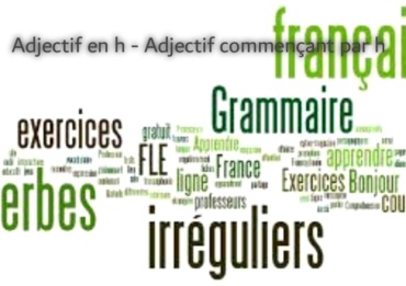 Adjectif en y  -  Adjectif commençant par y