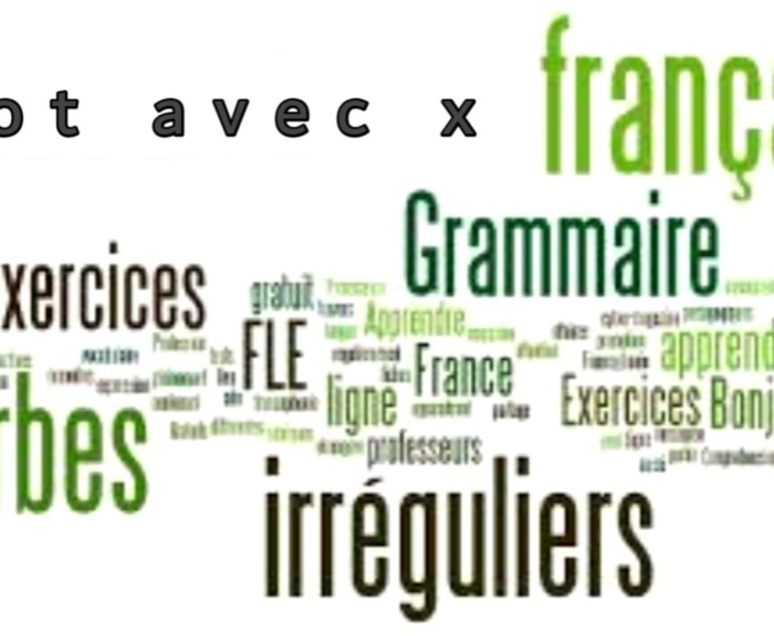 Mot avec x plus utilisé en français