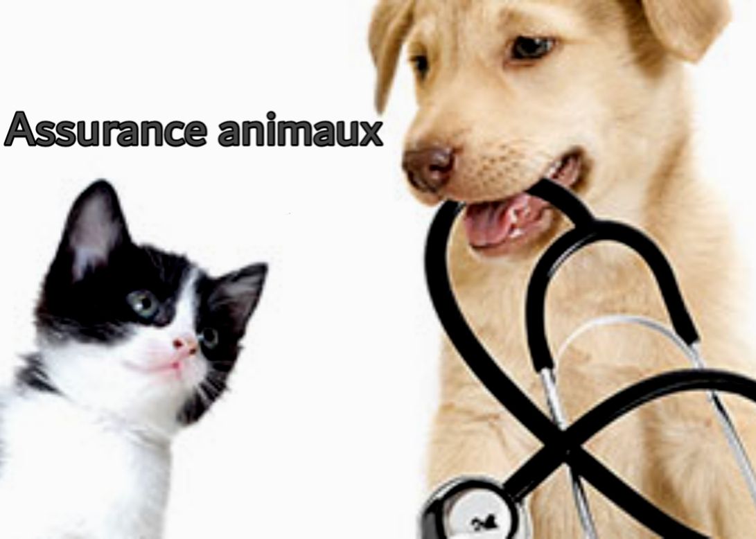April assurance animaux