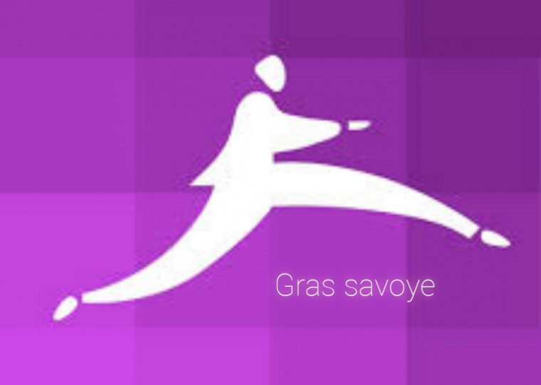 Gras savoye mutuelle witiwi - electrofakhar
