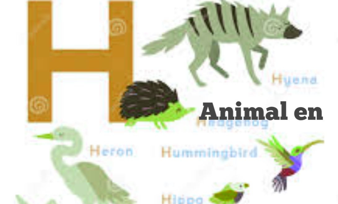 animal commençant par H