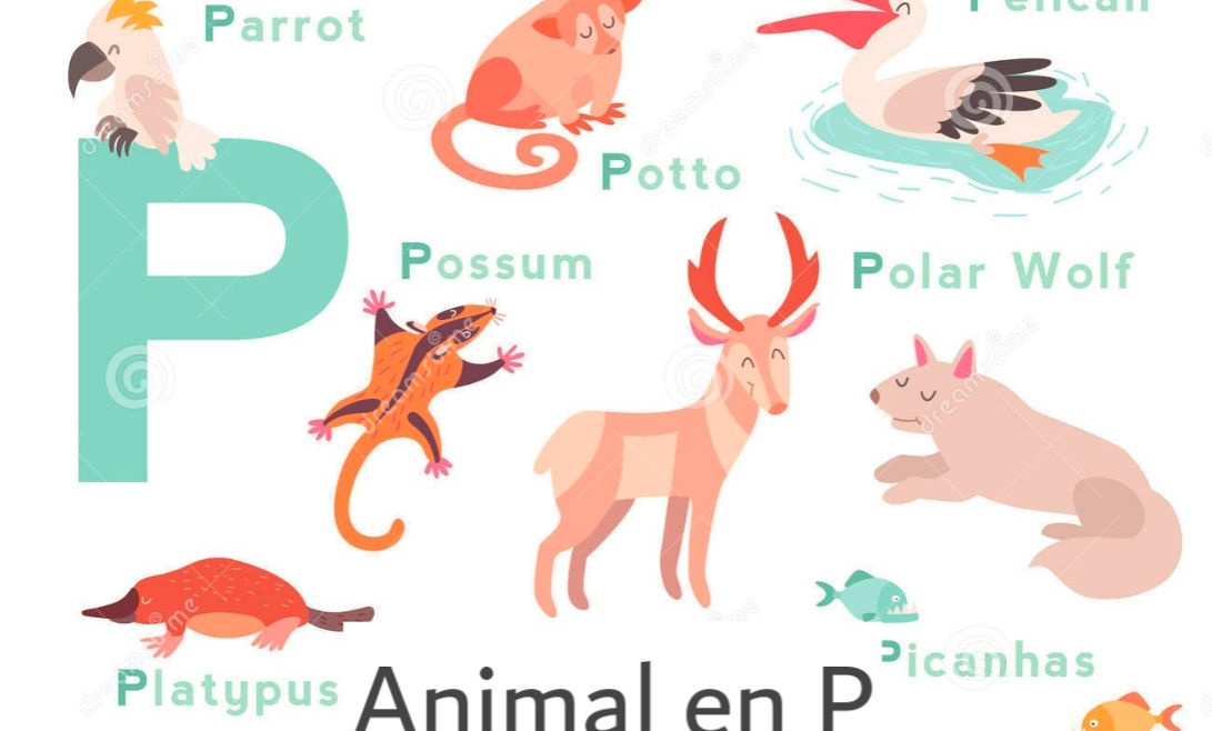 animal en P