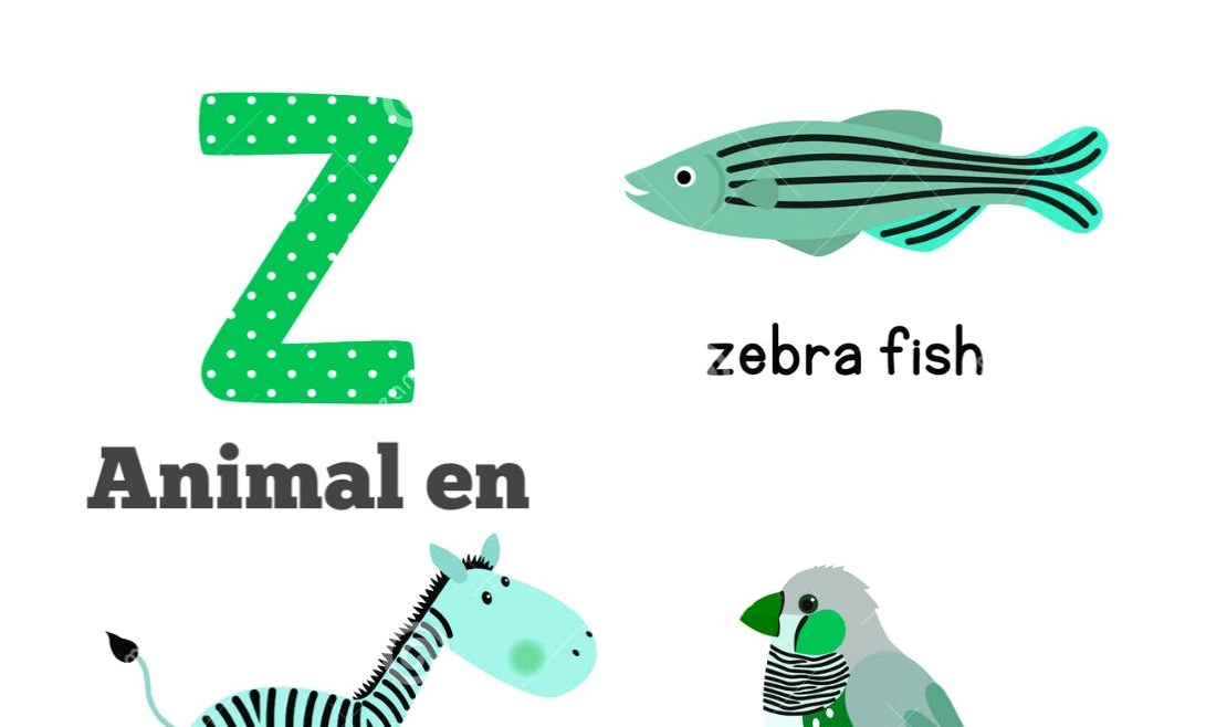 animal en Z