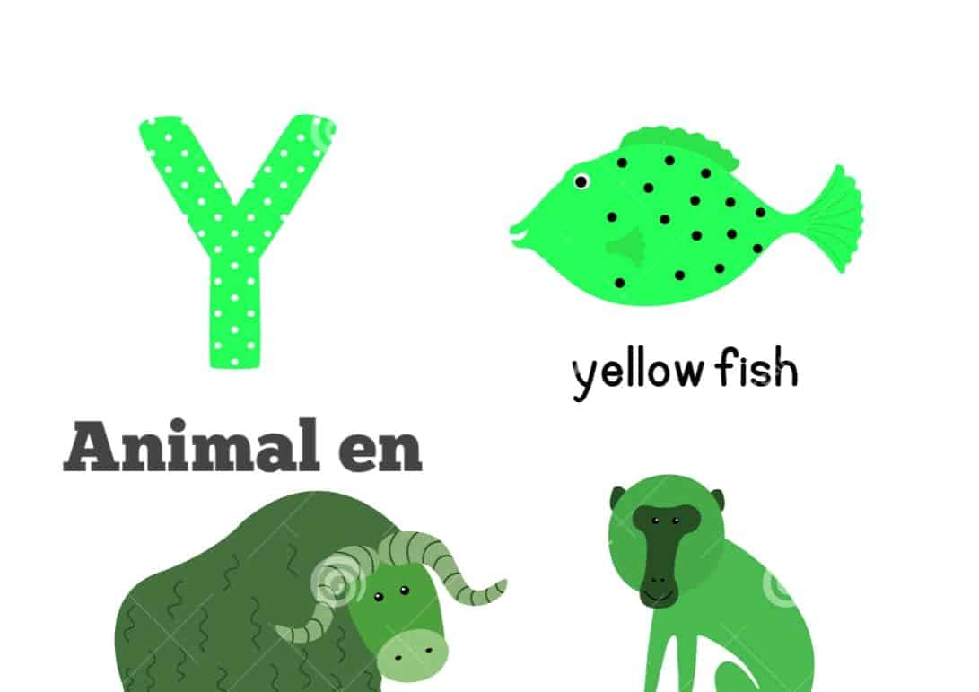 Animaux en Y , Animal commençant par Y - Informations