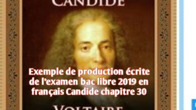 Exemple de production écrite de l'examen bac libre 2019 en français Candide chapitre 30