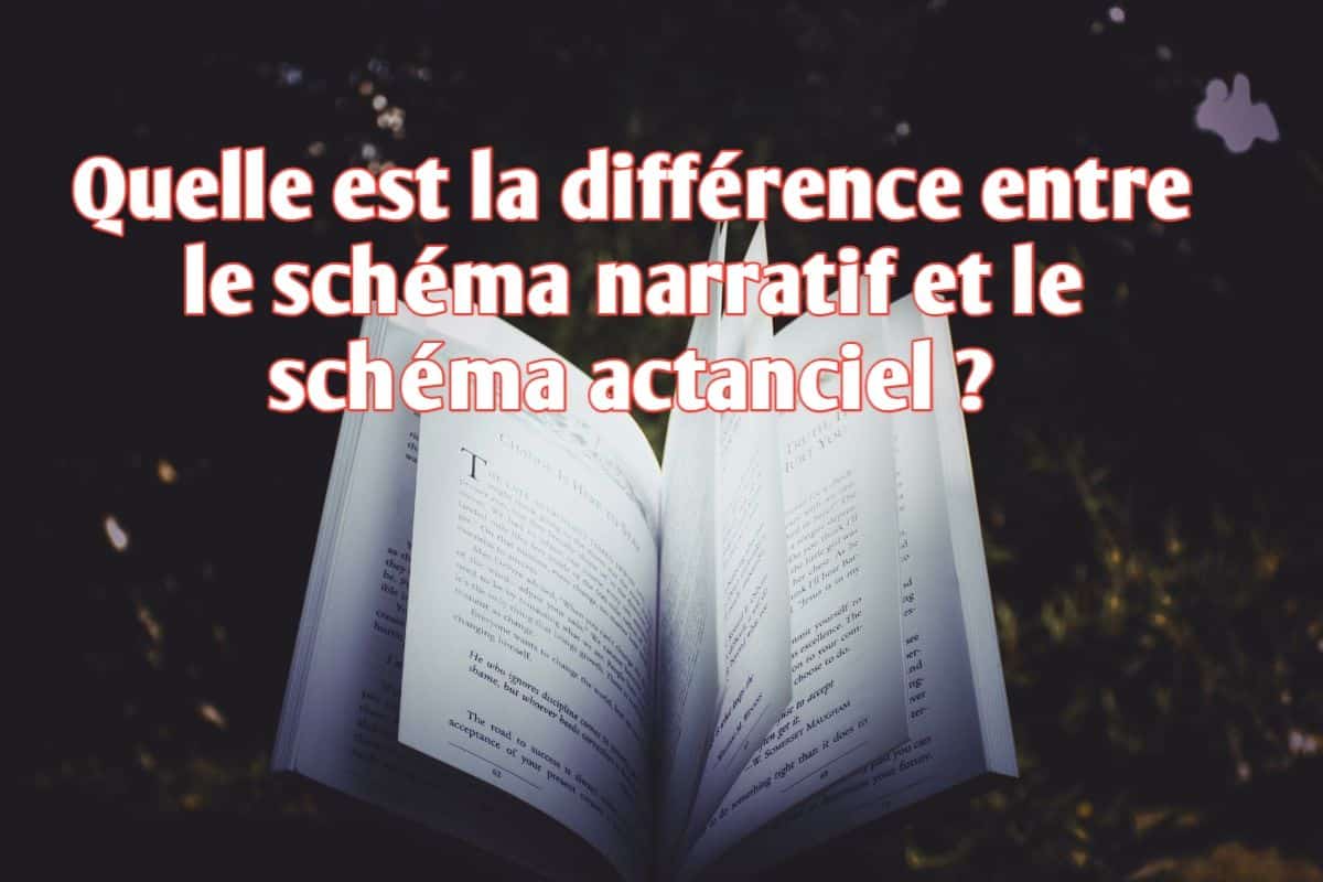 Quelle est la différence entre le schéma narratif et le schéma actanciel ?