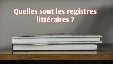Quelles sont les registres littéraires ?