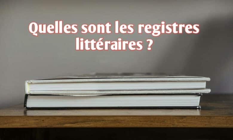 Quelles sont les registres littéraires ?
