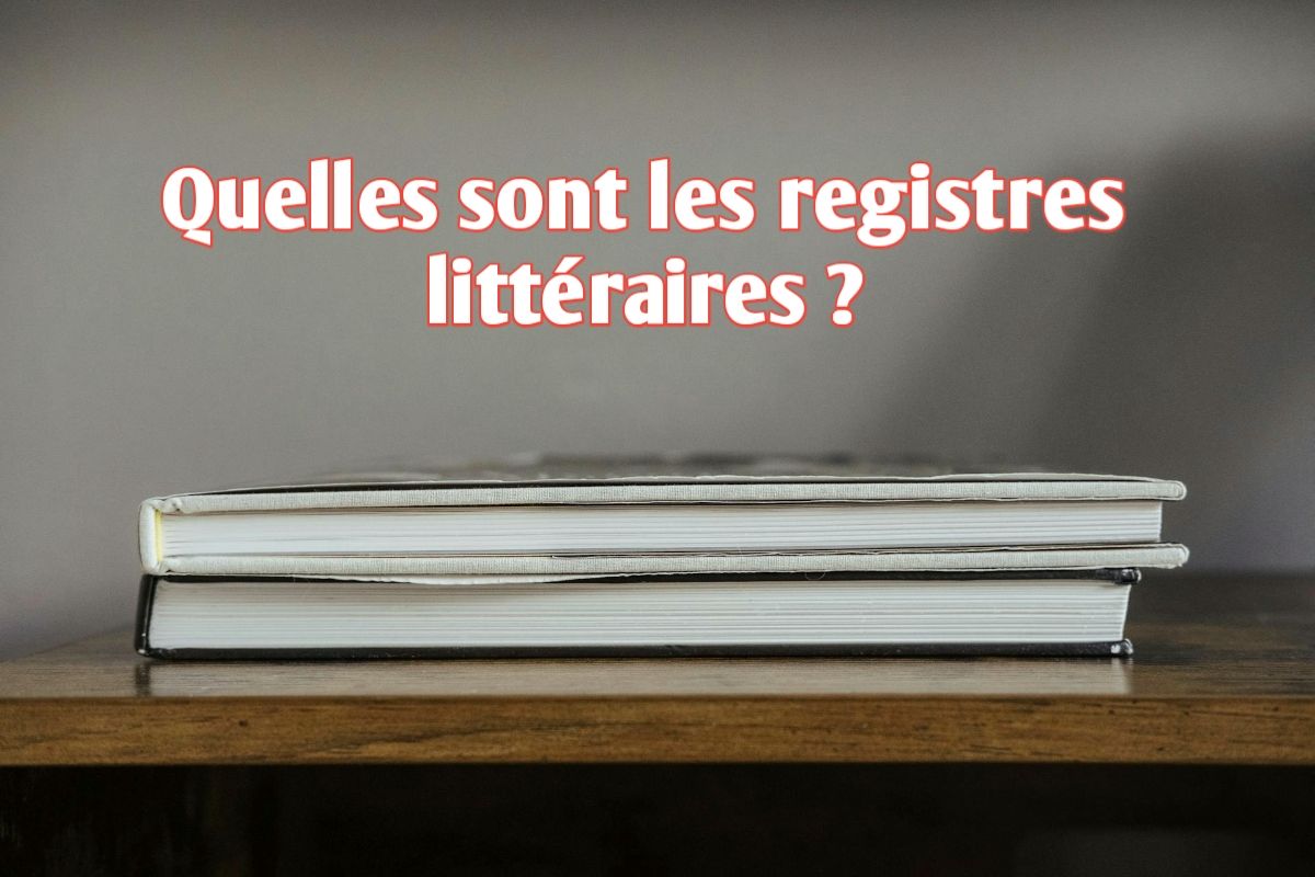 Quelles sont les registres littéraires ?