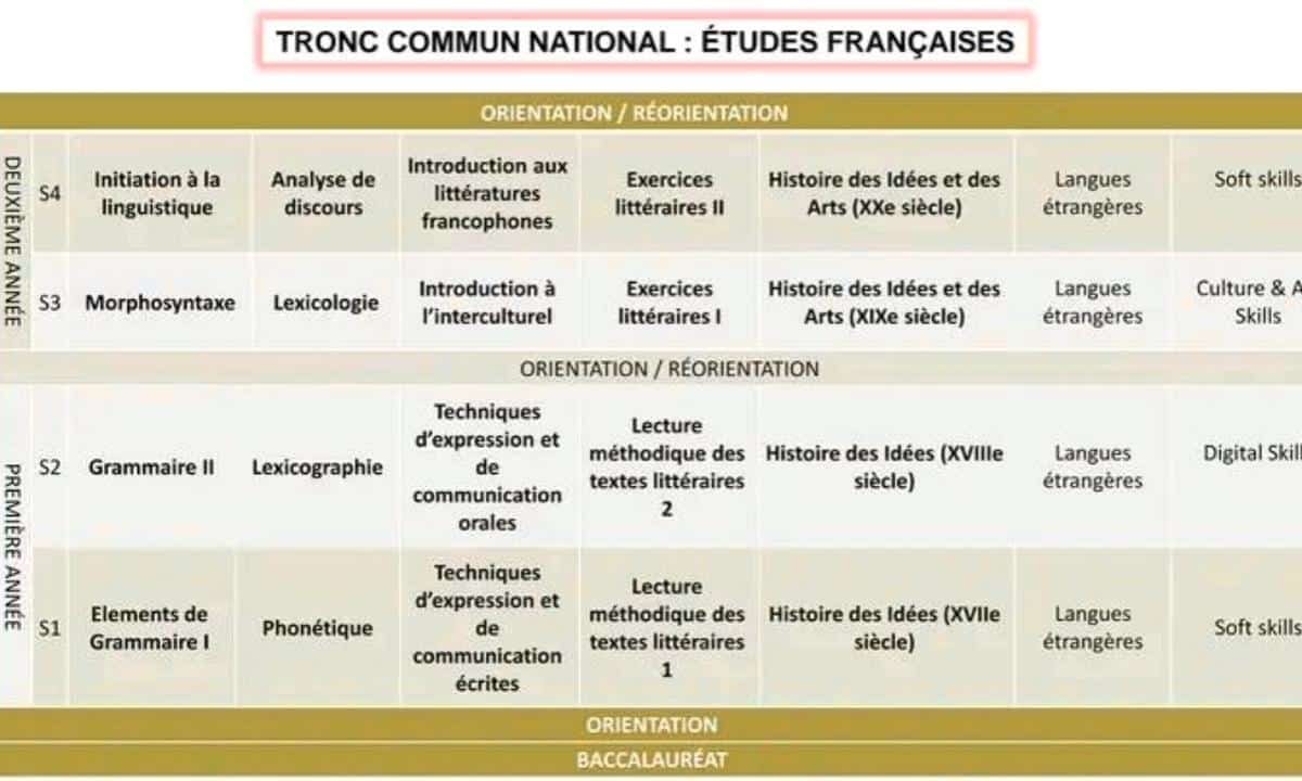 les modules de s1 etudes françaises 2024